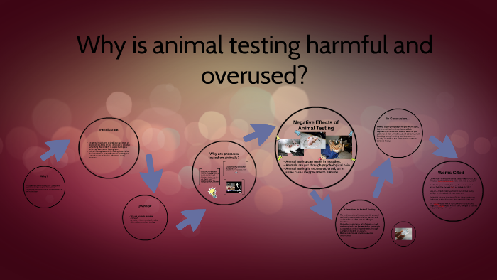 Why is animal testing harmful and overused? by caitlyn blake on Prezi