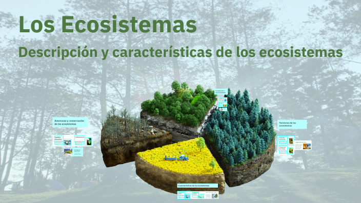 Los Ecosistemas by SALVADOR ROCHA TORRES on Prezi