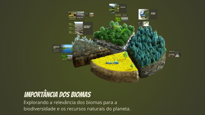 Importância dos Biomas by Antônio garcia on Prezi