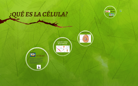 LA CÉLULA by Luz Arbeláez on Prezi