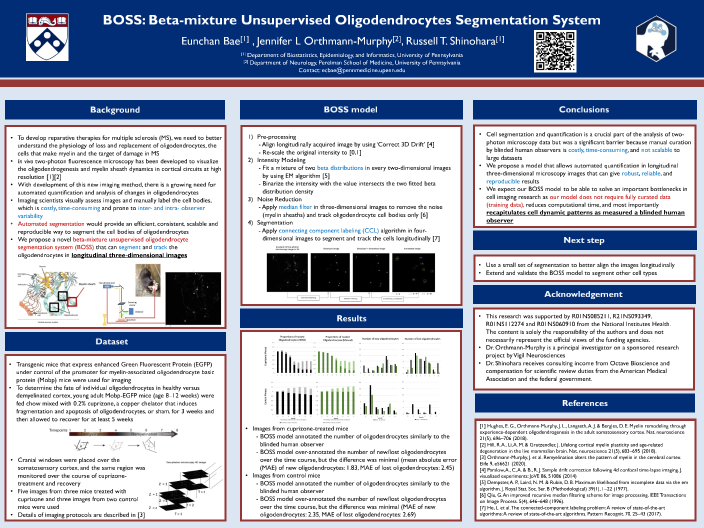 BOSS: Beta-mixture Unsupervised Oligodendrocytes Segmentation System by ...