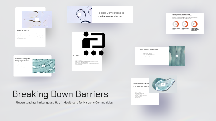 Breaking Down Barriers: Bridging the Language Gap in Healthcare for ...