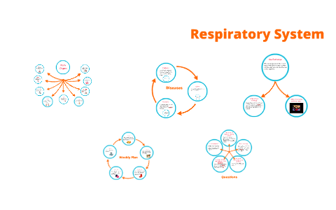 Respiratory System by on Prezi
