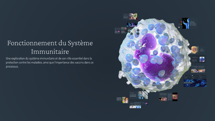 Fonctionnement du Système Immunitaire et Vaccination by Didier Duboulet ...