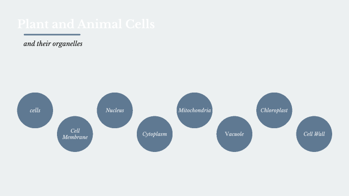 Plant and Animal Cell Project by Anna Hardaway on Prezi