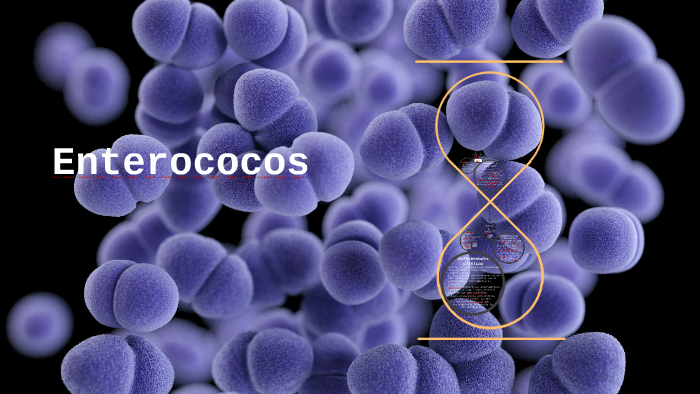 Enterococos fecalis y fuecium by Hytcel Noriega on Prezi