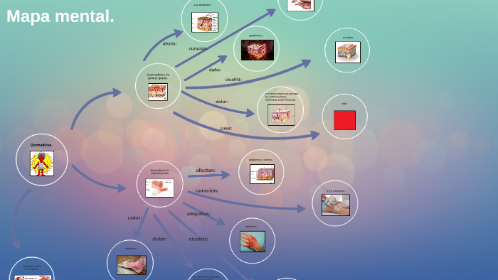 Mapa conceptual. by luz maria ruiz ramirez on Prezi Next