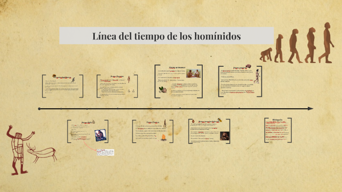 Linea Del Hominidos 8135