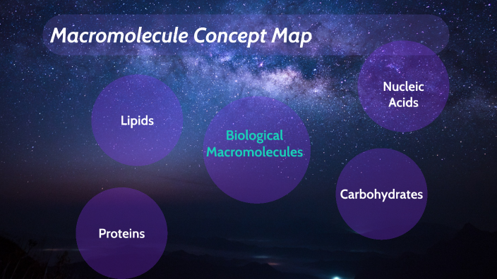 Macromolecule Concept Map by Edgar Chairez on Prezi