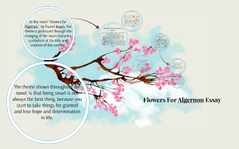 Algernon Essay By Sy Kang On Prezi