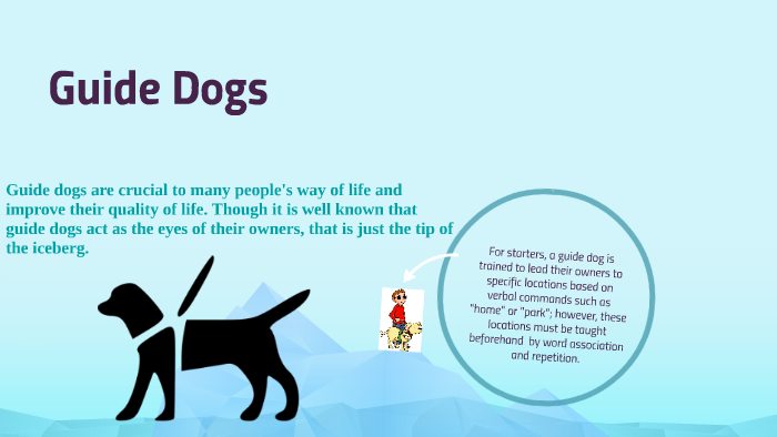 what commands do guide dogs know