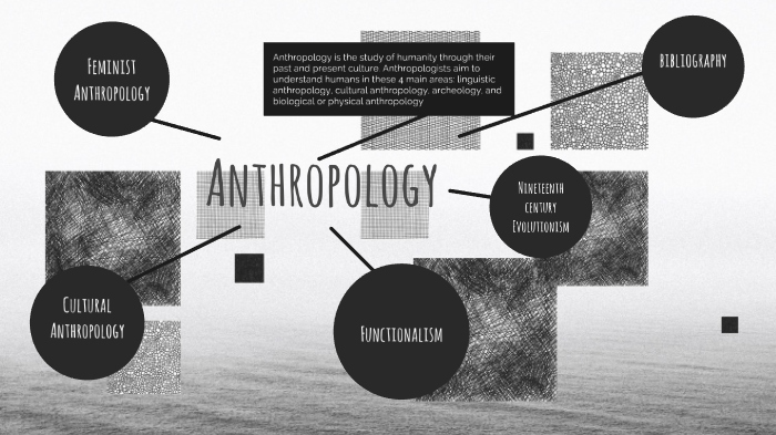 case study applied anthropology
