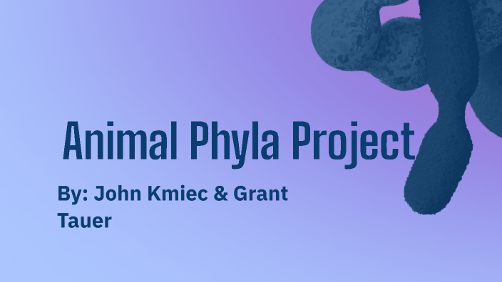 Animal Phyla Project by John Kmiec on Prezi