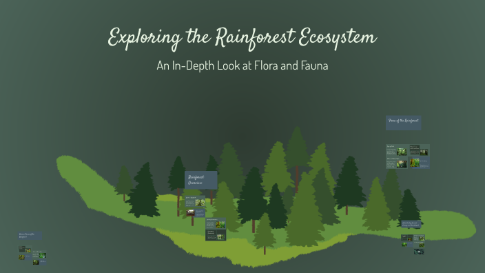Exploring the Rainforest Ecosystem by River Oaks Elementary on Prezi