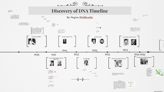 Discovery of DNA Timeline by Meghan McGillicuddy on Prezi