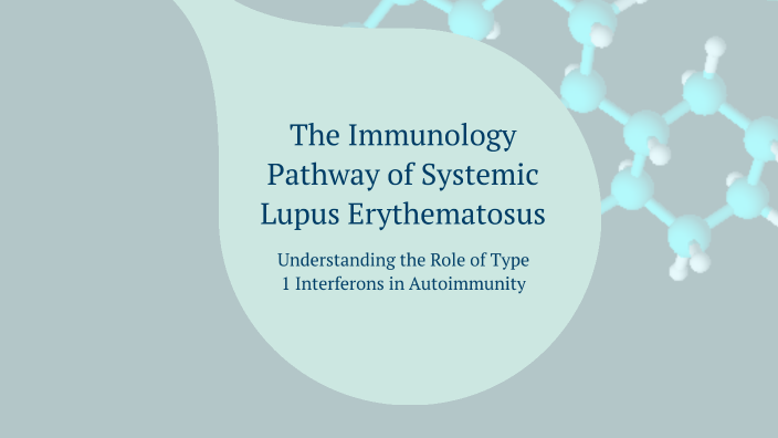 The Immunology Pathway of Systemic Lupus Erythematosus by Aaliyah Khan ...