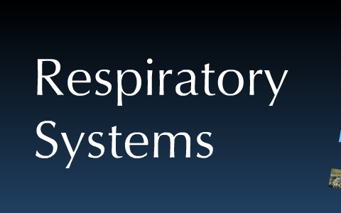 Respiratory Systems Graphic Organizer, ch 9 Principles of Animal ...