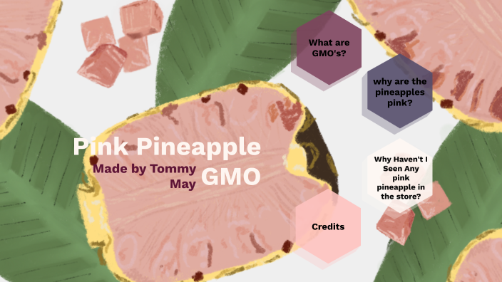 Photo inspiration: Fresh Look at Pink Pineapple Gmo S By Thomas May On Prezi