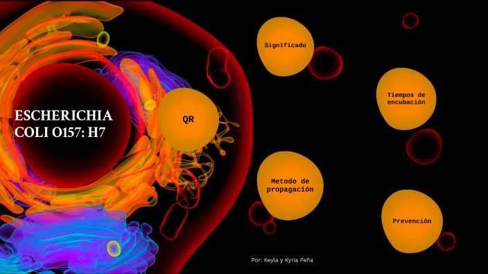 ESCHERICHIA COLI 0157: H7 by Keyla Peña Rugama on Prezi