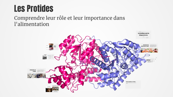 Protide Chart Les Protides by ouni ouni on Prezi