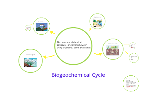 Biogeochemical Cycle by Judy Lim on Prezi