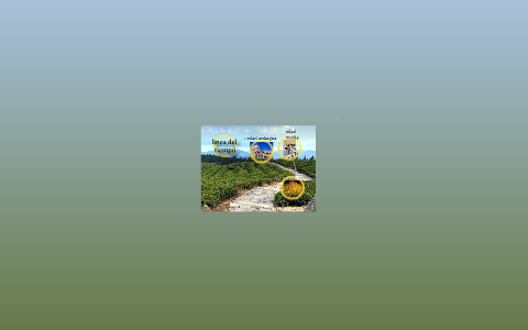 linea de tiempo by juan david andres on Prezi