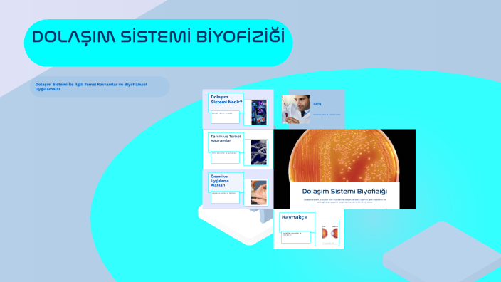 DOLAŞIM SİSTEMİ BİYOFİZİĞİ by Semanur Demirci on Prezi