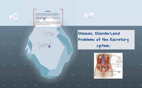 excretory diseases system