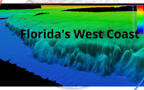 Global Explorations: Charting Florida's West Coast by Connor Cerrito