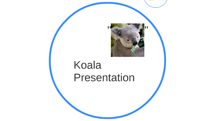 KOALA PRESENTATION