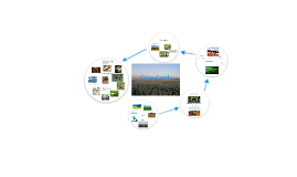 Science Grasslands by Harman Gosal on Prezi