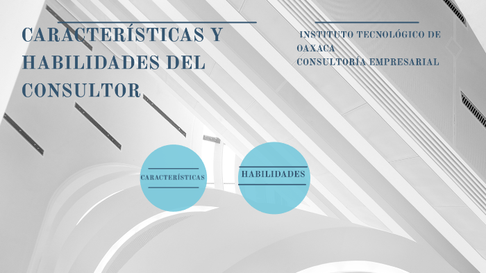 1.4 Características Y Habilidades De Los Consultores