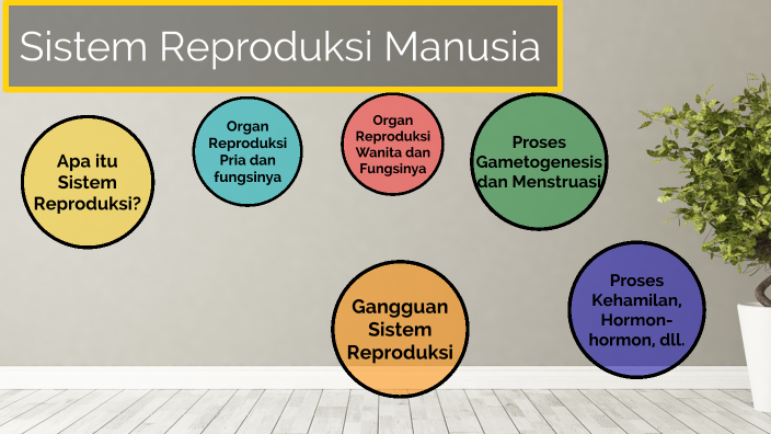 Sistem Reproduksi Manusia Ppt By Anggi Budi Arbiliani On Prezi