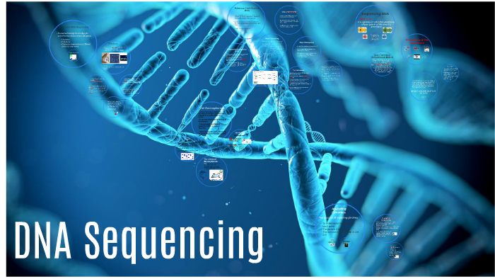 DNA Sequencing by Sarah Jirjis on Prezi