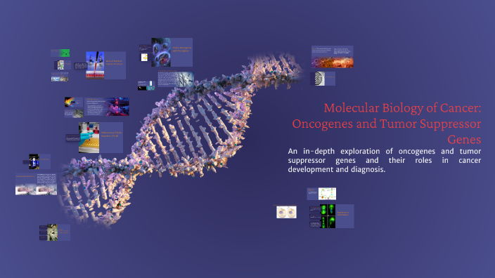 Molecular Biology of Cancer: Oncogenes and Tumor Suppressor Genes by ...
