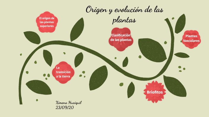 Origen y evolución de las plantas by Ximena Huaiquil on Prezi