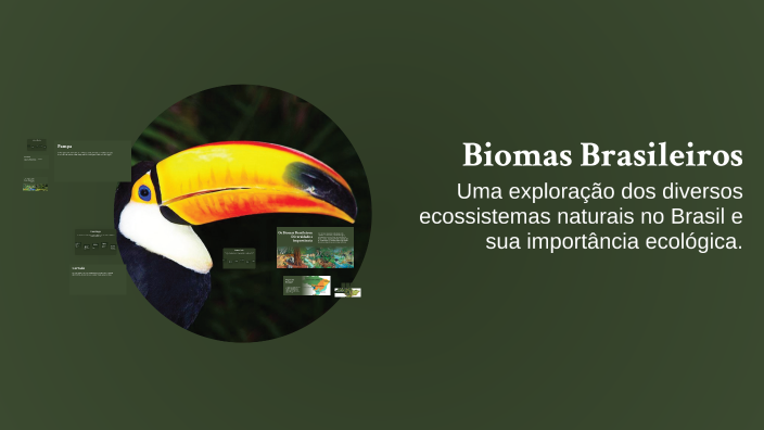 Biomas Brasileiros by Rayca Cristina Estevan Silva on Prezi