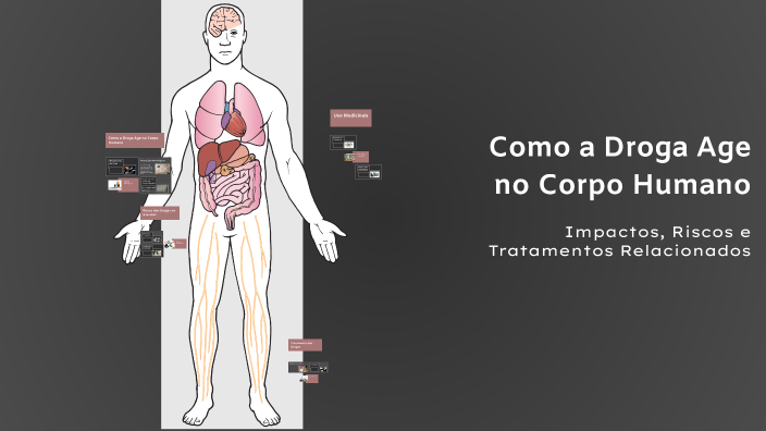 Como a Droga Age no Corpo Humano by Jakson Nogueira on Prezi