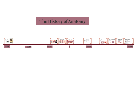The History of Anatomy by tori heap on Prezi