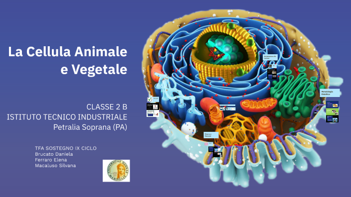 Lezione sulla Cellula Animale e Vegetale by Daniela Brucato on Prezi