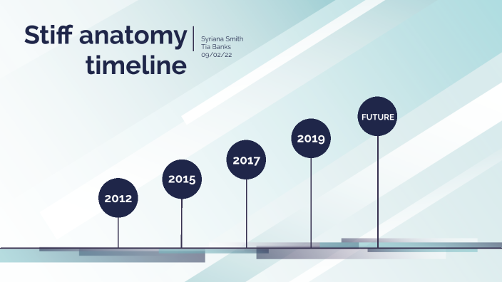 stiff-anatomy-timeline-by-syriana-smith