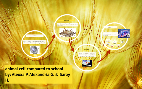 animal cell compared to school by lexi parsons on Prezi