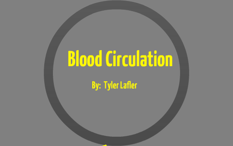 Blood Circulation by Tyler Lafler on Prezi