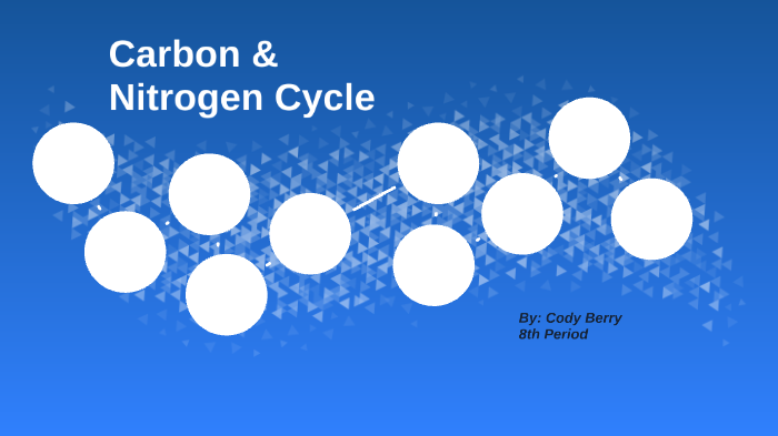 Carbon Cycle by Cody Berry on Prezi