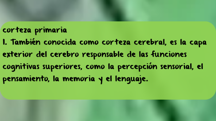 corteza primaria 1. También conocida como corteza cerebral, es la capa ...