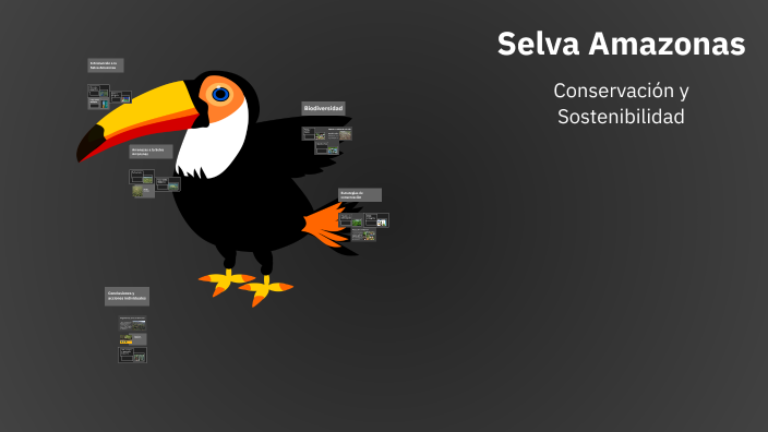 Selva Amazonas by The_robert on Prezi