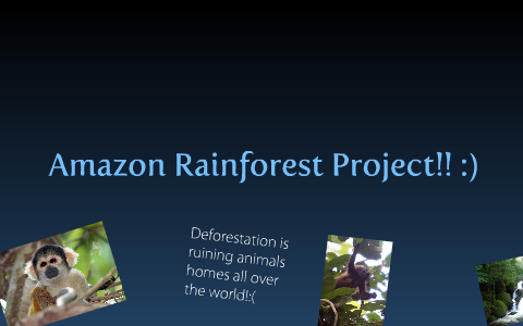 Amazon Rainforest Project by Ashlyn Cunningham