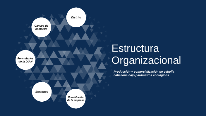 Estructura Organizacional Cebollas Doppel S.A.S by DAVID FELIPE LUGO ...