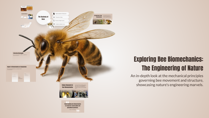 Exploring Bee Biomechanics: The Engineering of Nature by Sonam Doal on ...