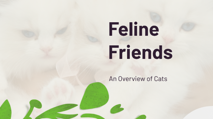 Understanding Cats by computo centro on Prezi